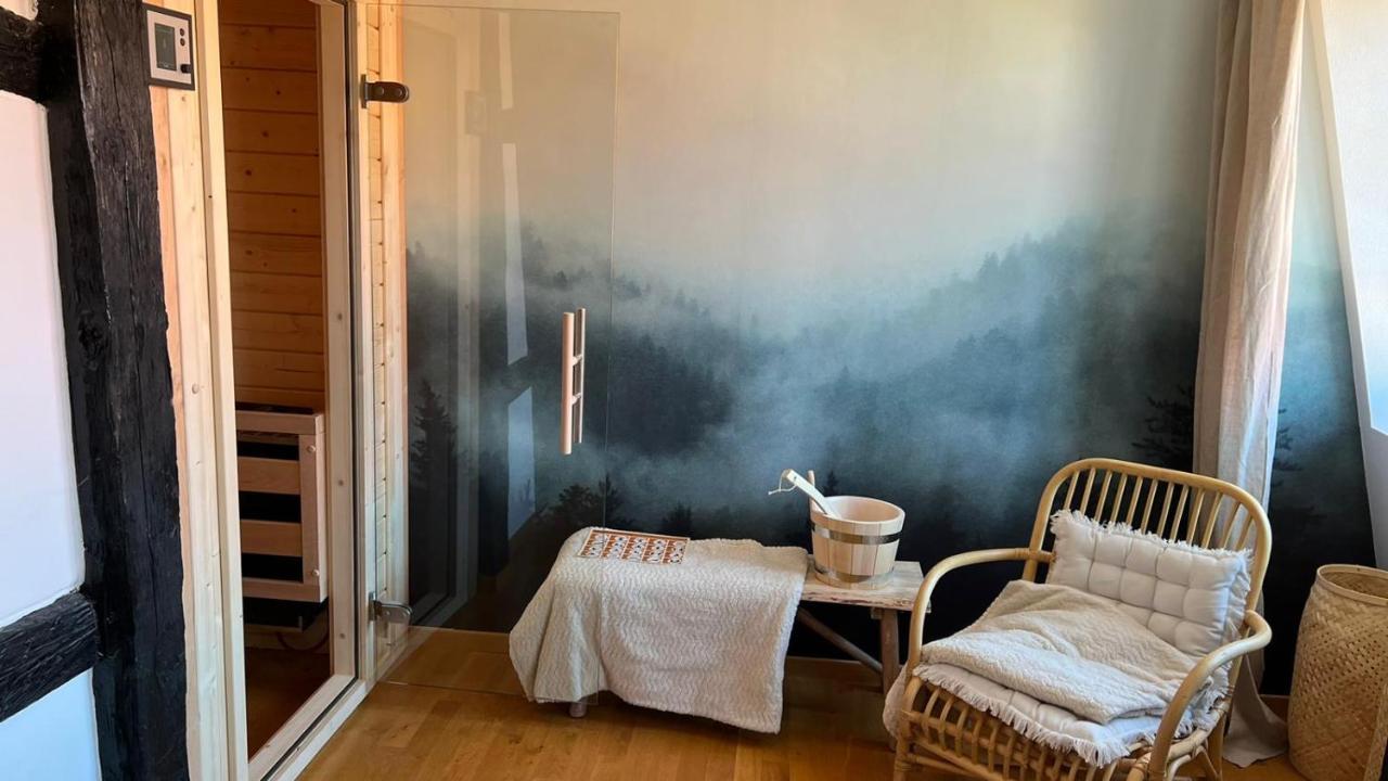 קולמר Appartement Le Verdoyant Hyper Centre Avec Sauna Et Parking מראה חיצוני תמונה